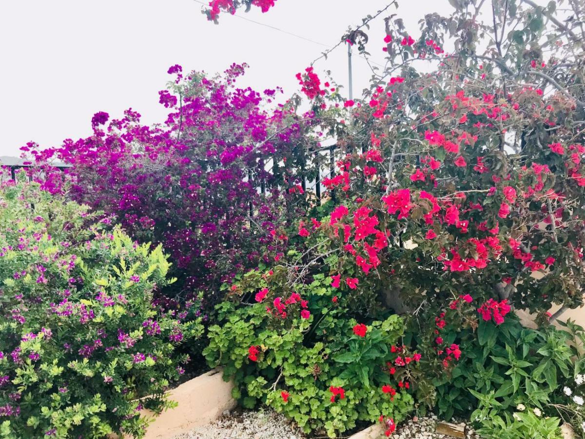 Casa Fletch Bed & Breakfast El Salado Bagian luar foto
